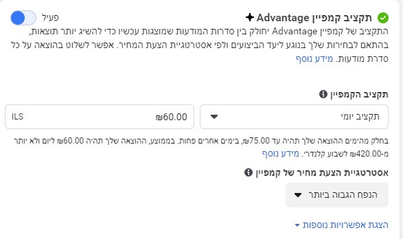 תקציב יומי